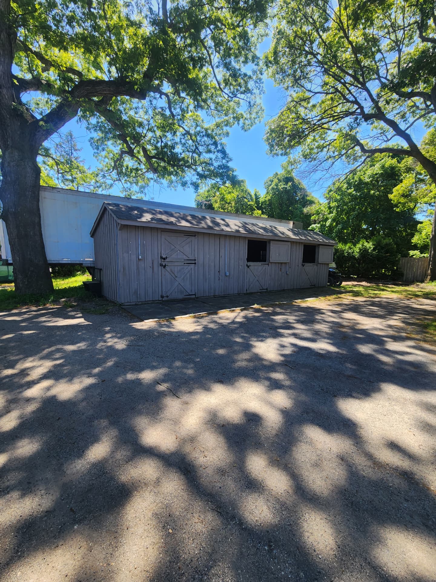 Life around the barn at Rising Talent Equestrian