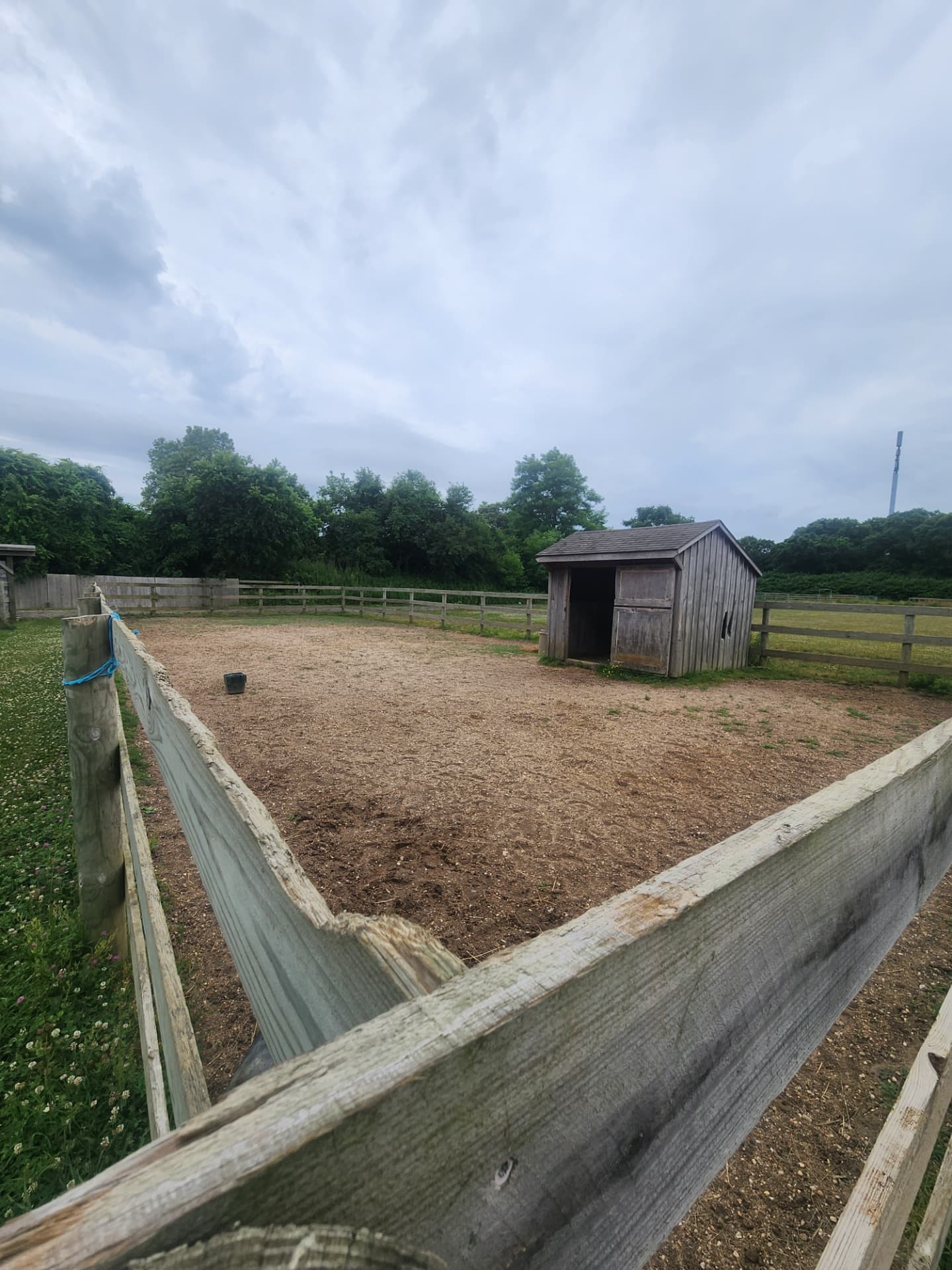 Life around the barn at Rising Talent Equestrian