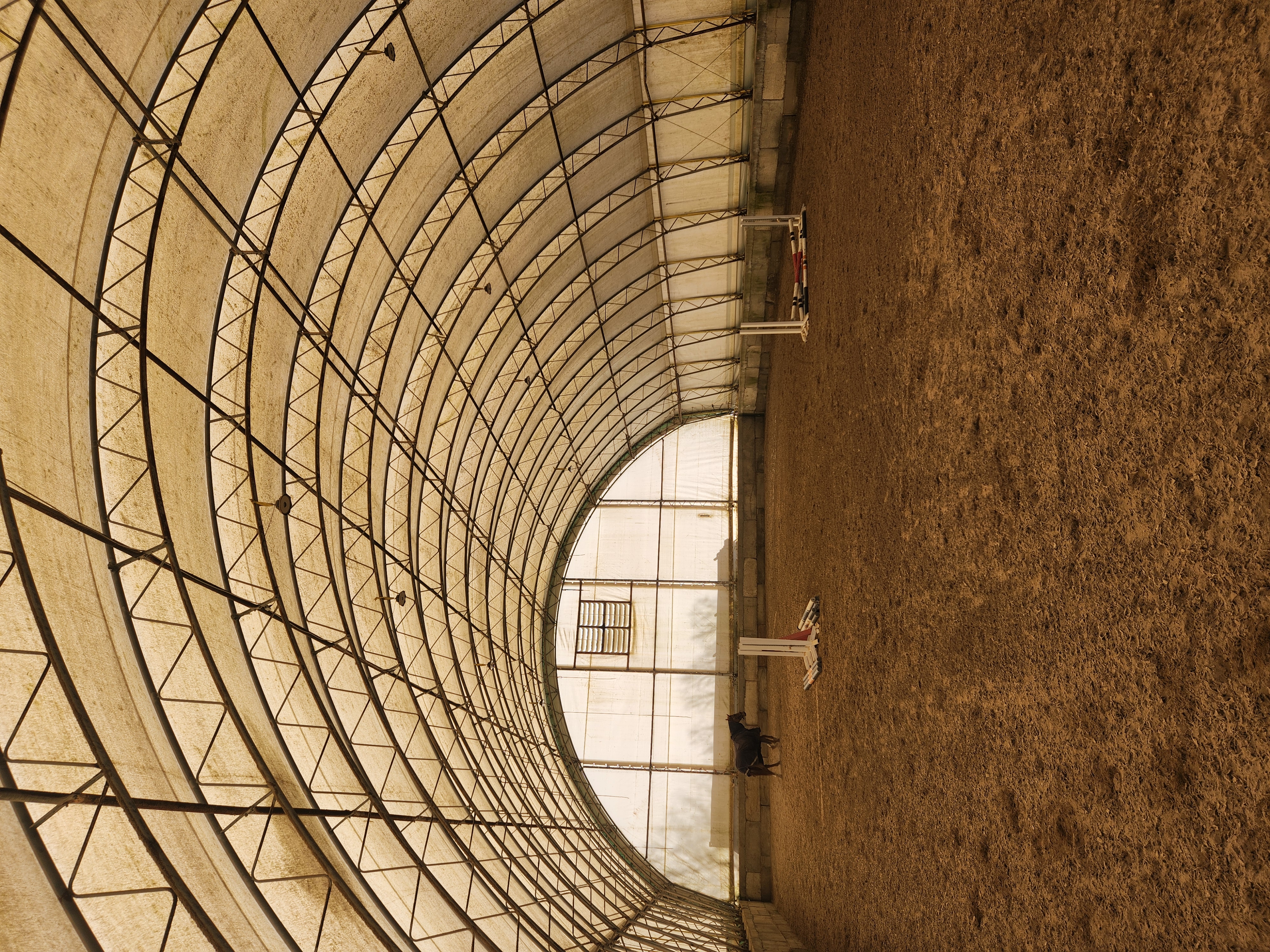 Life at Rising Talent Equestrian