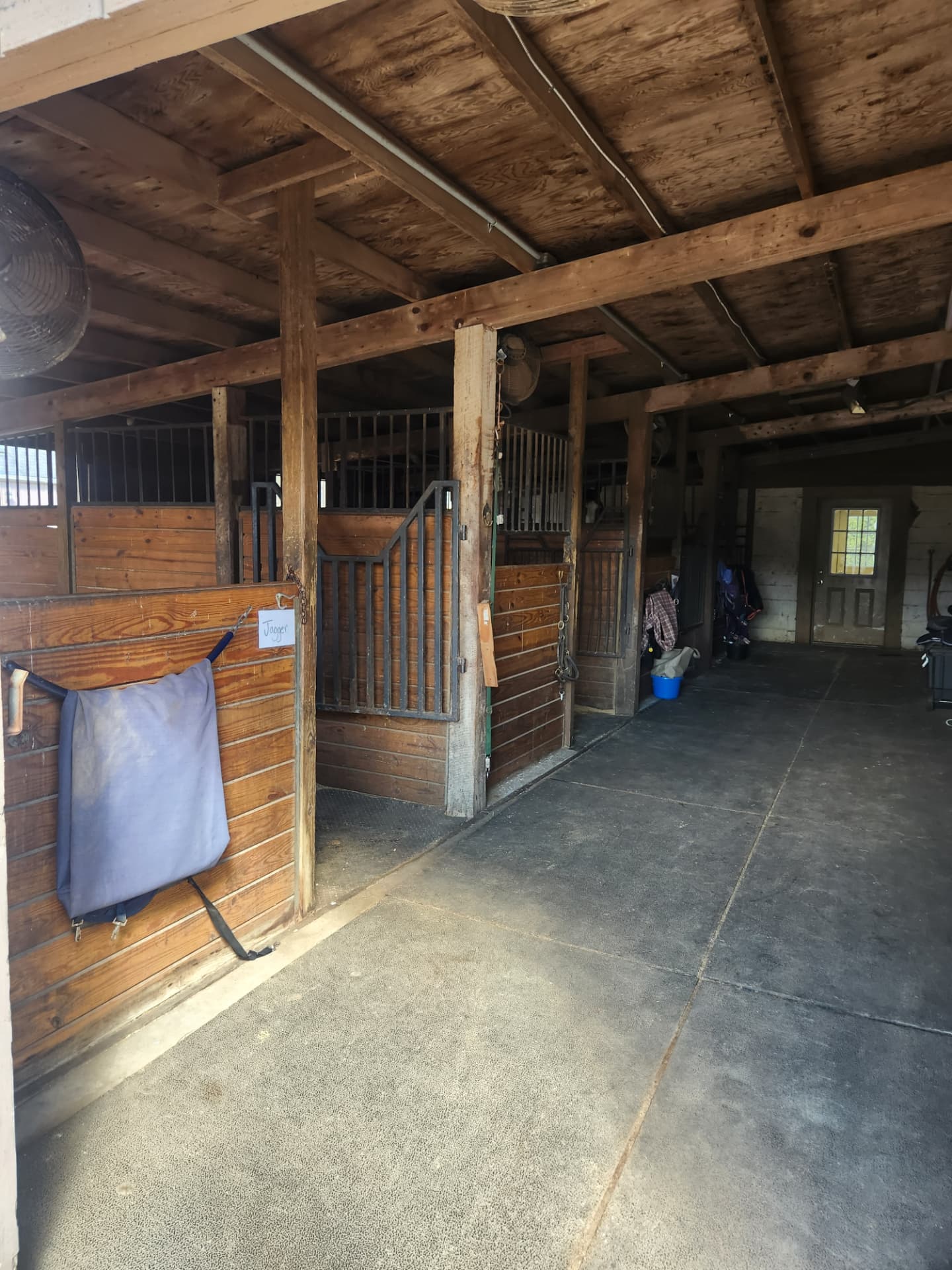 Life around the barn at Rising Talent Equestrian