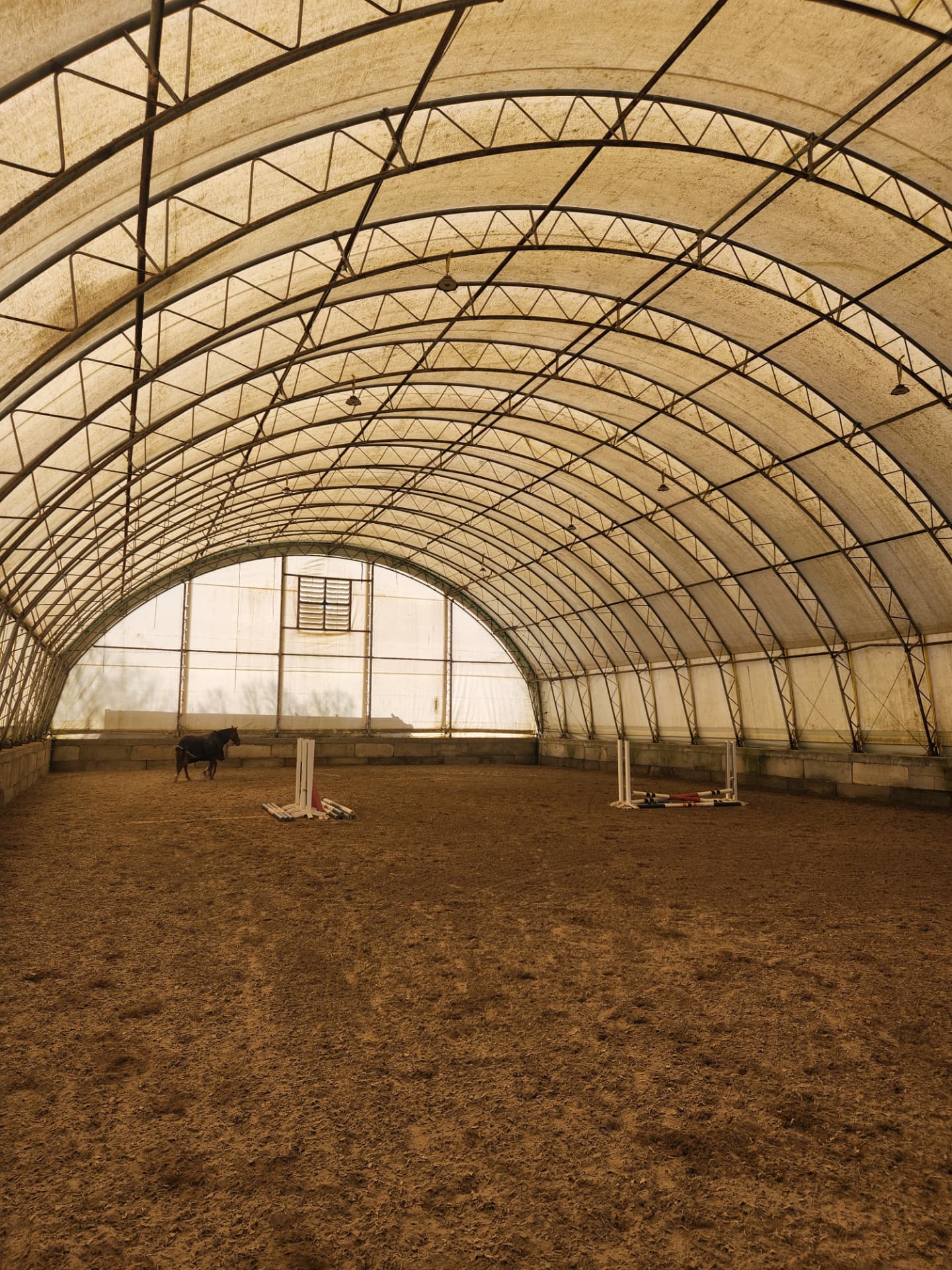 Life around the barn at Rising Talent Equestrian