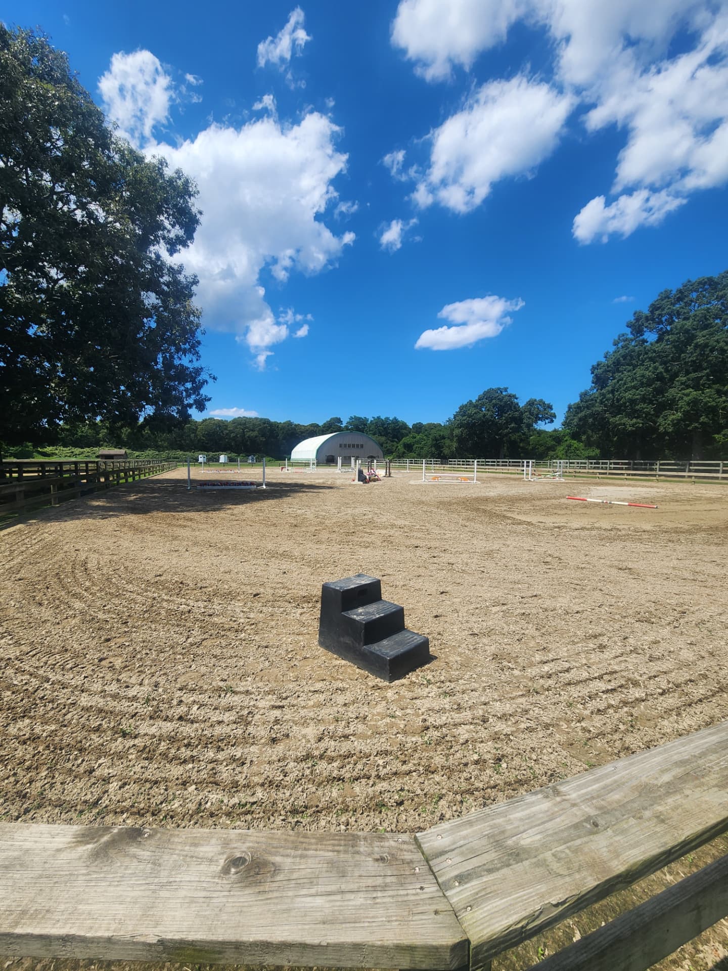 Life around the barn at Rising Talent Equestrian