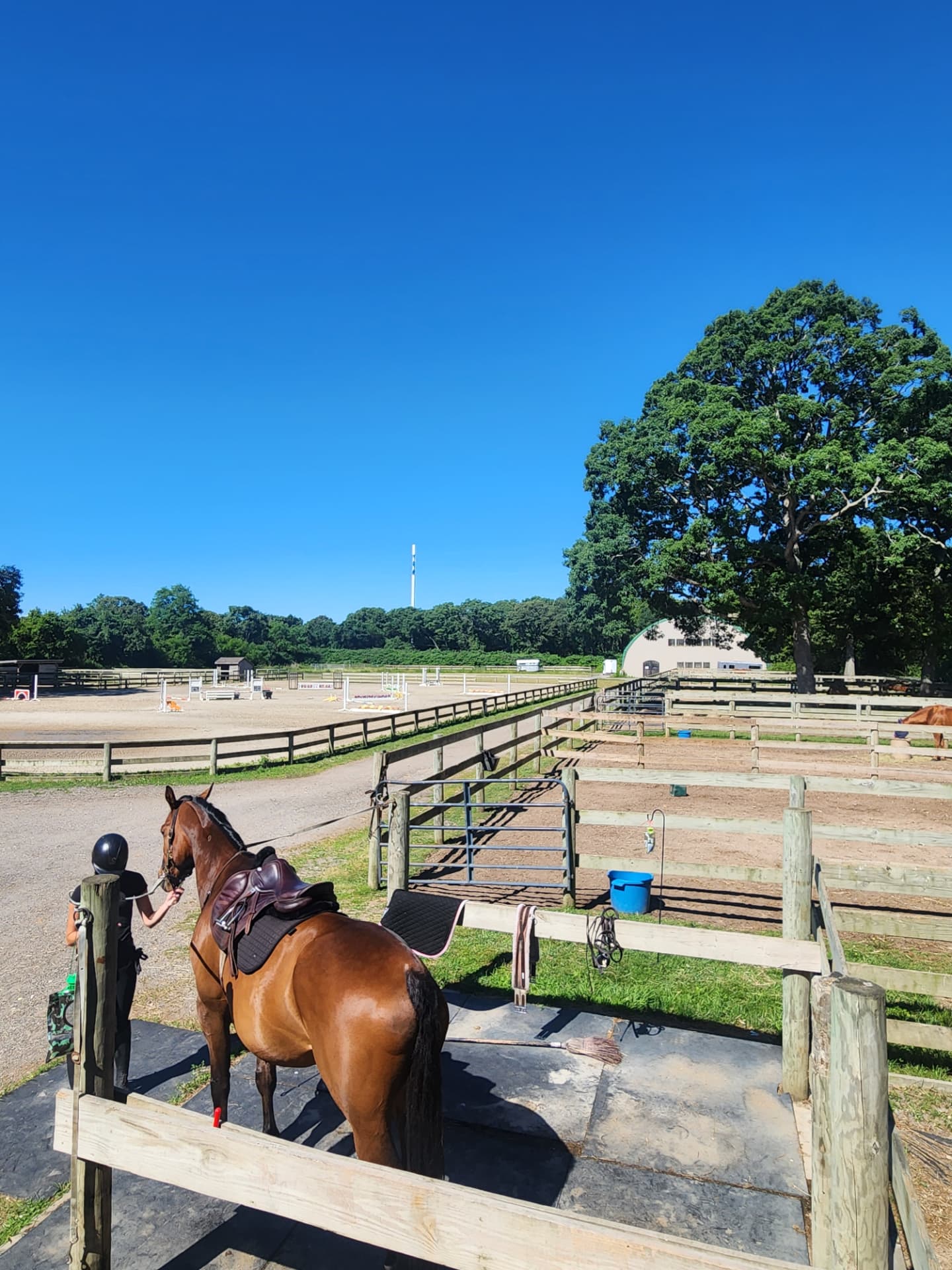 Life around the barn at Rising Talent Equestrian