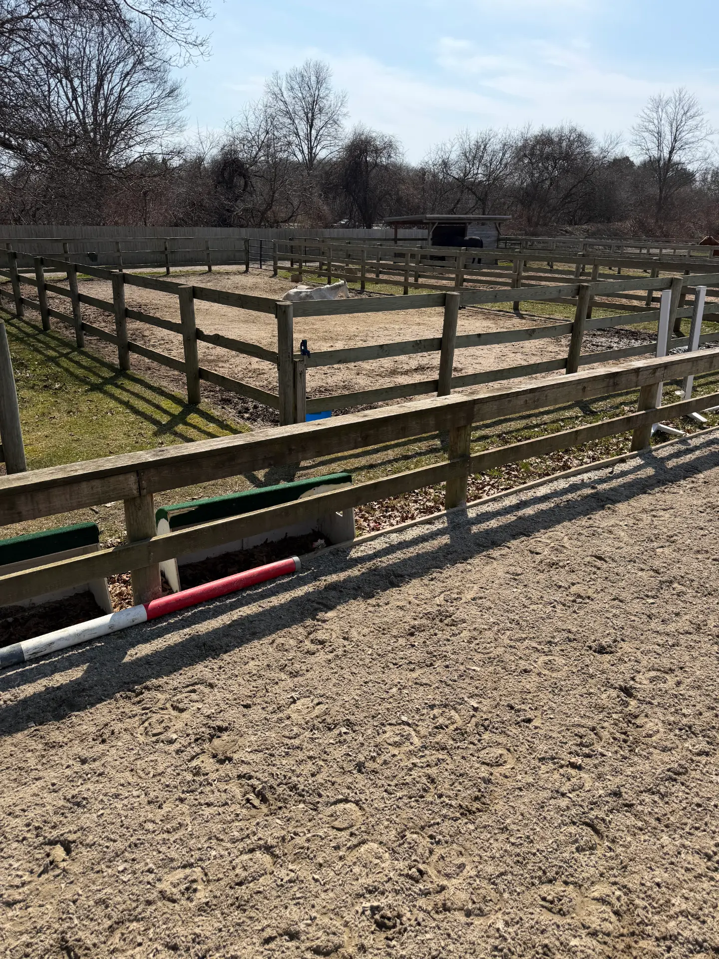 Life around the barn at Rising Talent Equestrian