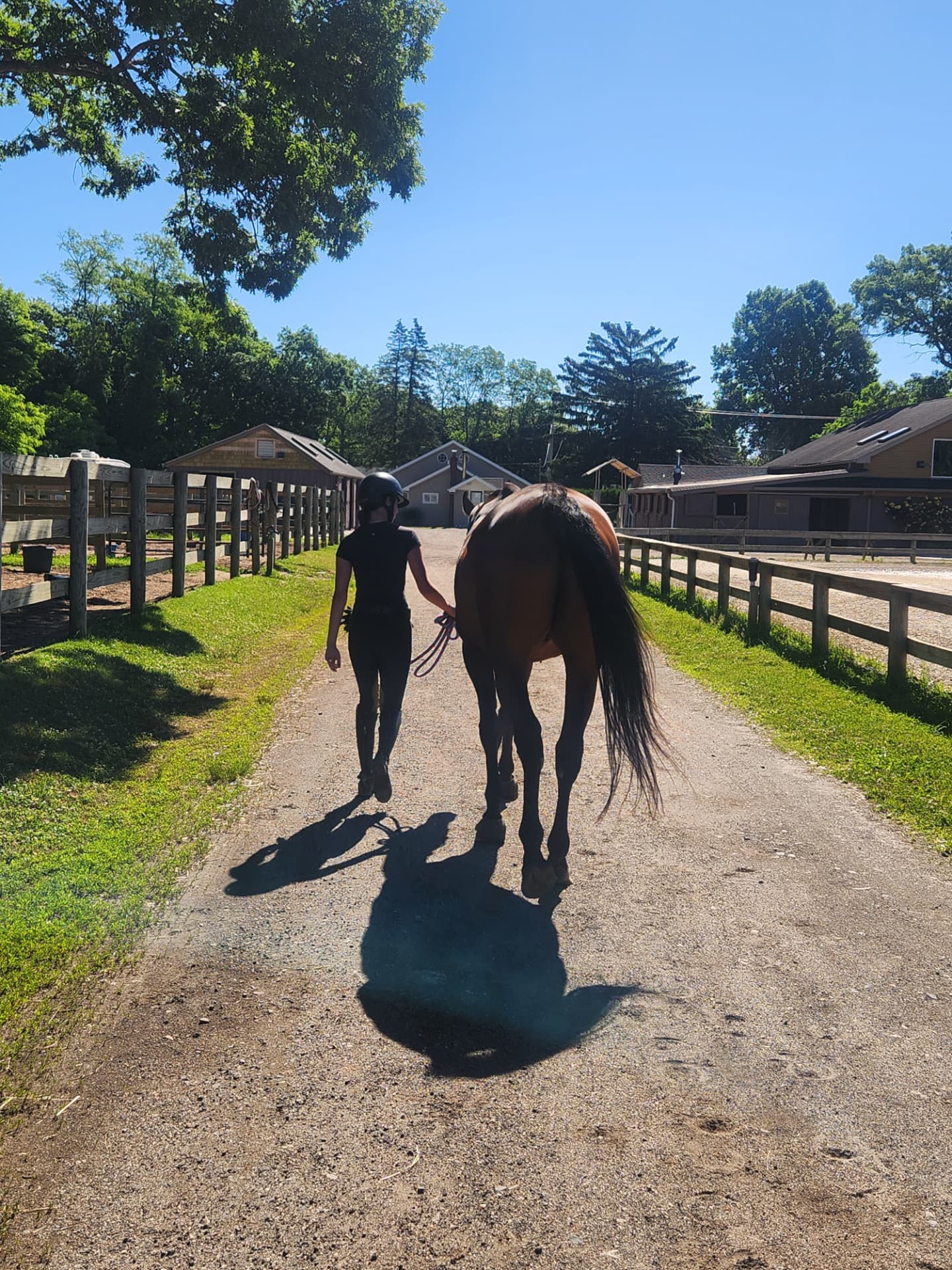Life around the barn at Rising Talent Equestrian
