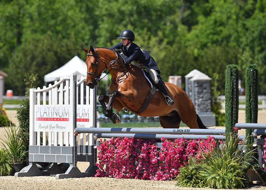 Rider and horse jumping at a hunter show
