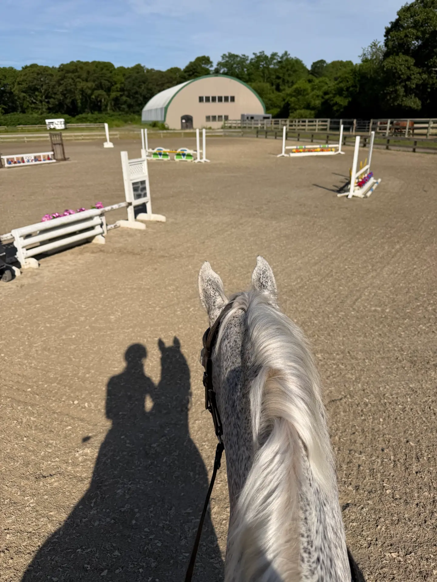 Life around the barn at Rising Talent Equestrian
